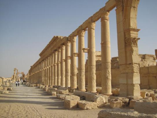 gambar-Palmyra